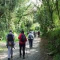 Le chemin vers la fontaine