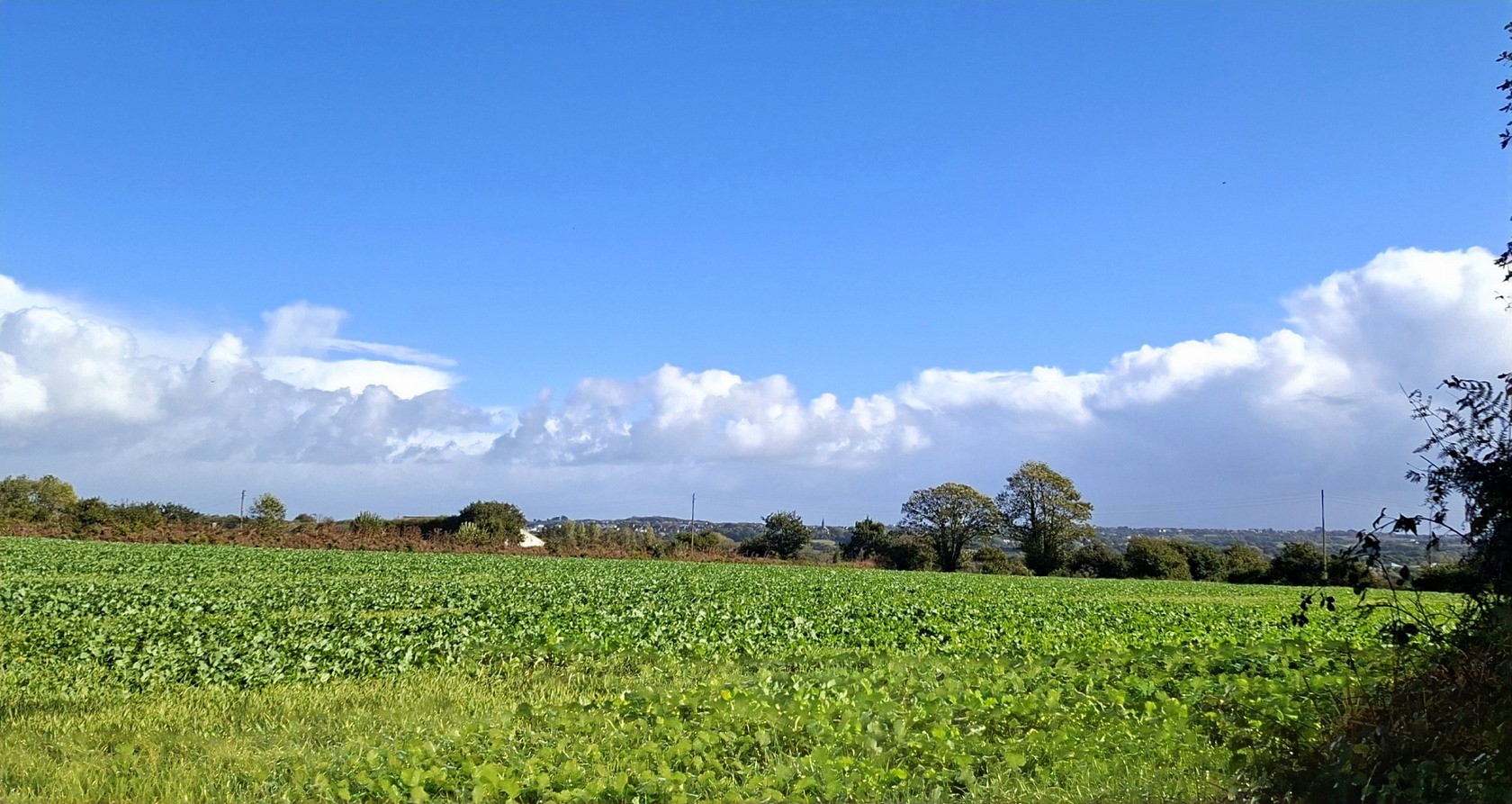 La campagne de Locmaria