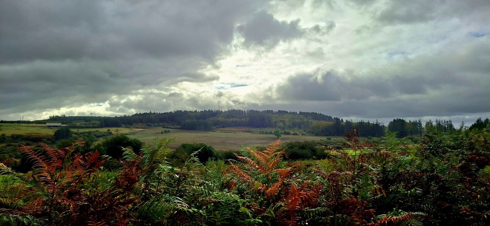 Le chemin du Comte