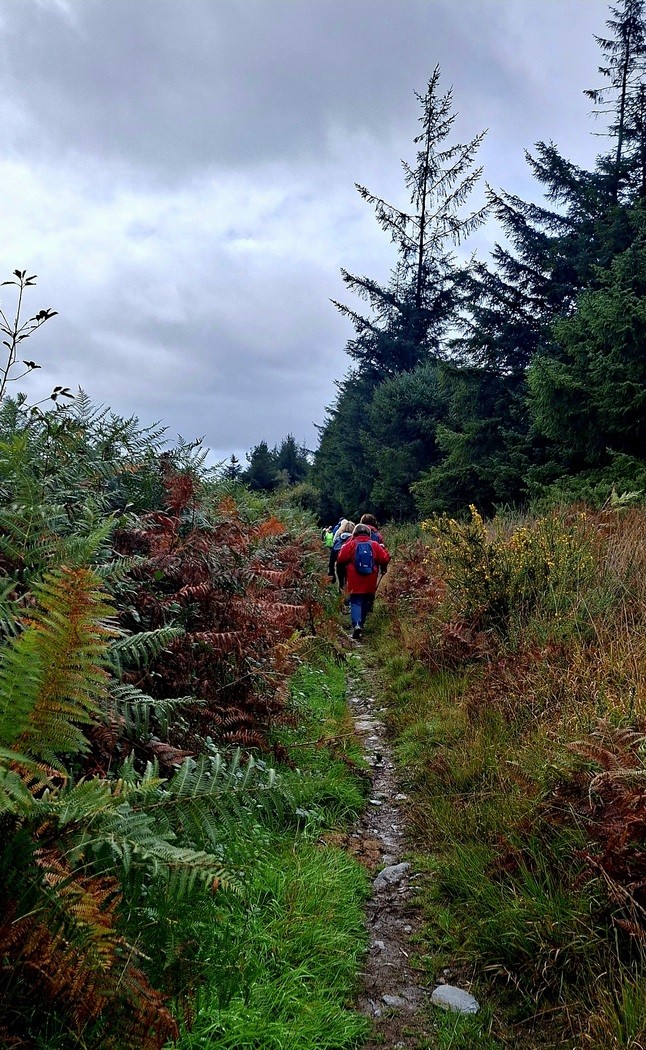 Le chemin du Comte