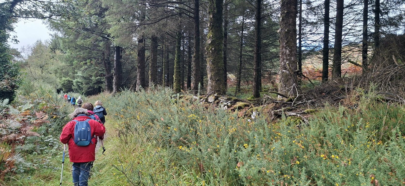 Le chemin du Comte