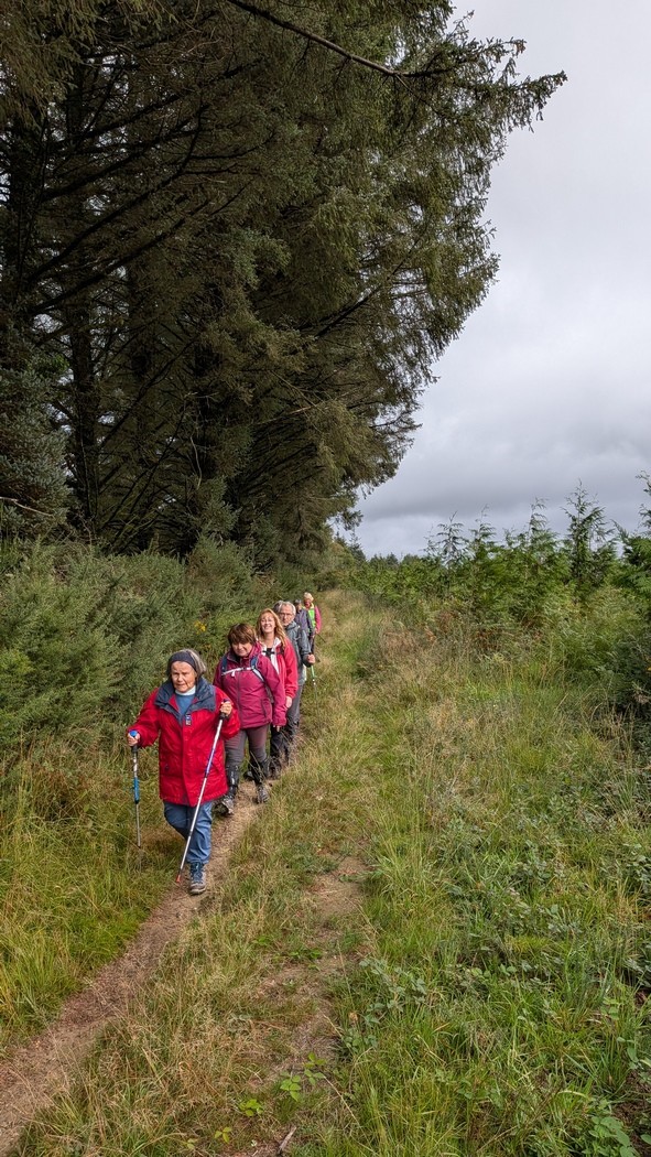 Le chemin du Comte