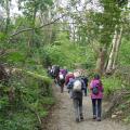 Dans les bois de l'étang de  Villeneuve