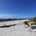 Les dunes de Porspoder