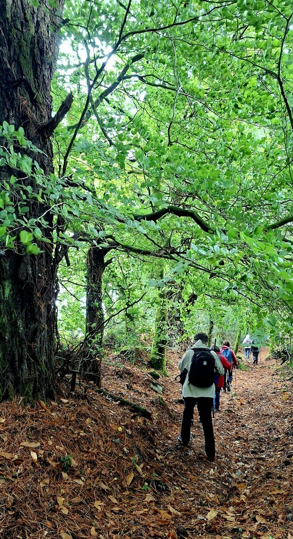 La campagne de Saint-Cadou