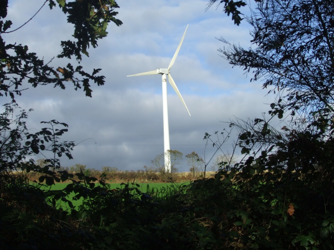 Une éolienne