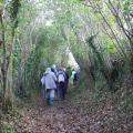 Un chemin de campagne