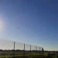 Le long des pistes de l'aéroport 