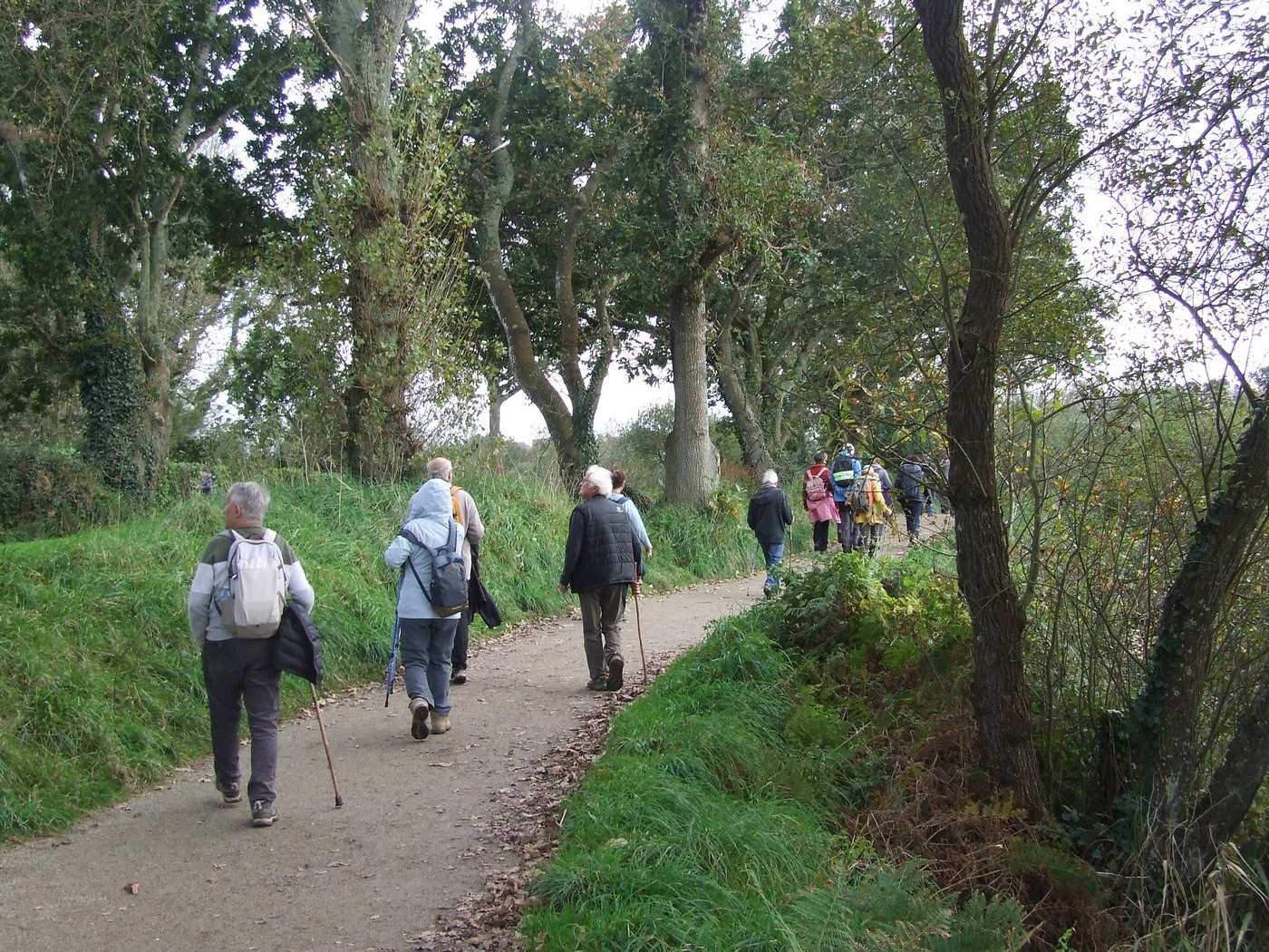 Un chemin de campagne