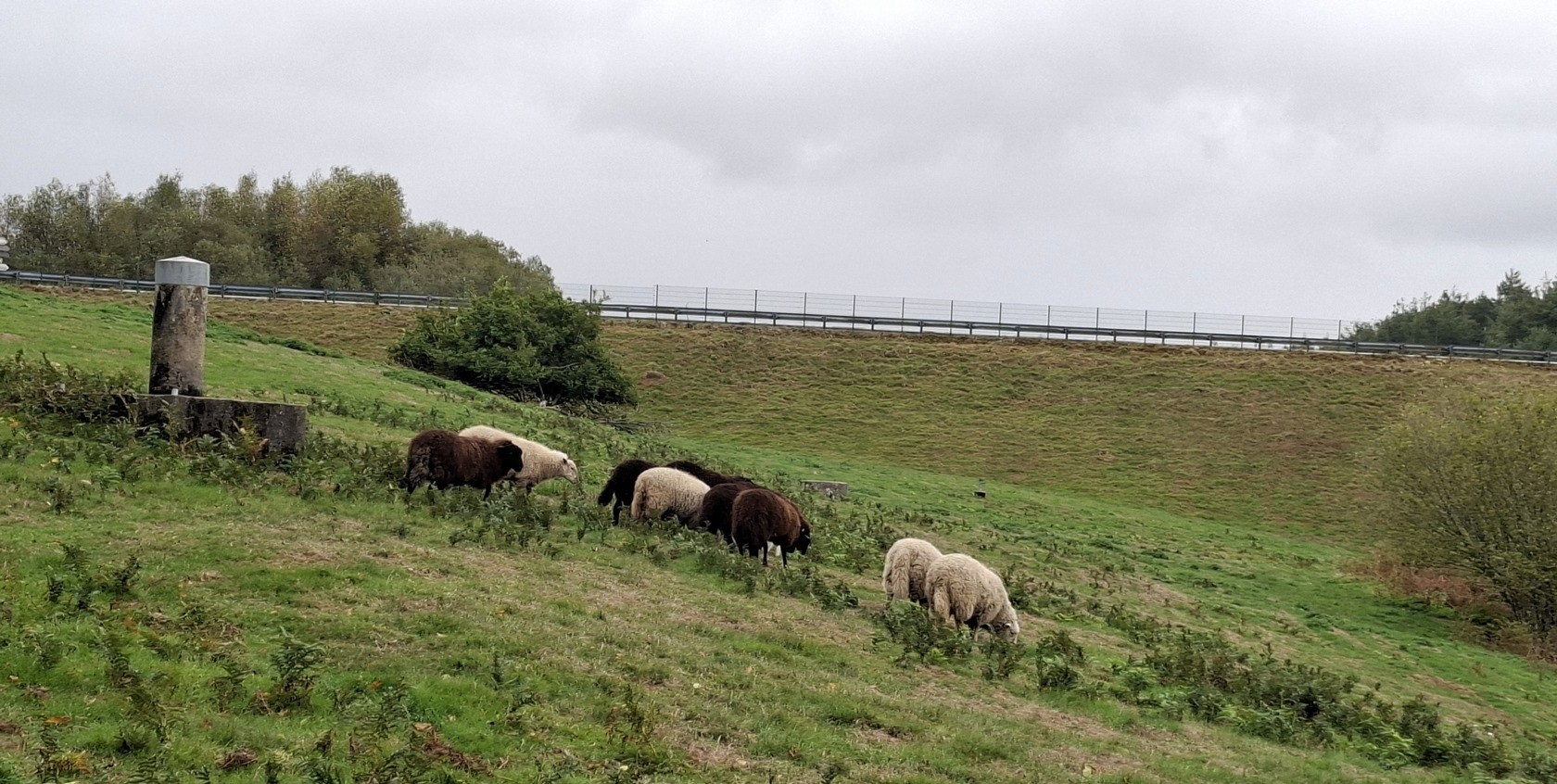 Le barrage du Drennec