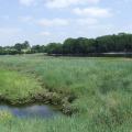 Le long de l'anse de Moulin neuf