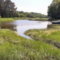 Le long de l'anse de Moulin neuf