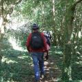 Un chemin de campagne prés de la pointe Marloux