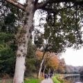 Le canal de Nantes  à Brest