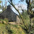 Prés du Moulin du Leun