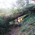 Le long du ruisseau du Vernic