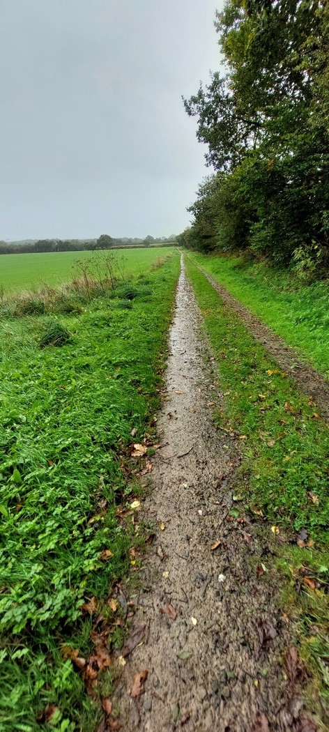 Chemin de Coat Eosen