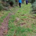 Descente dans la vallée