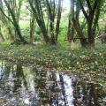 Nous suivons une rivière et l'ancienne ligne de chemin de fer