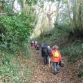 Chemin de campagne vers le manoir du Curru