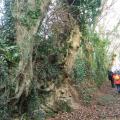 Chemin de campagne vers le manoir du Curru