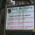 Le bois du Curru