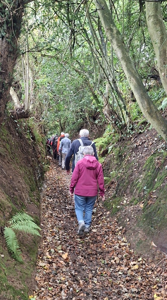 Dans les chemins creux