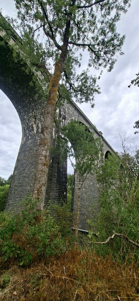 Viaduc pour le chemin de fer sur la Douffine