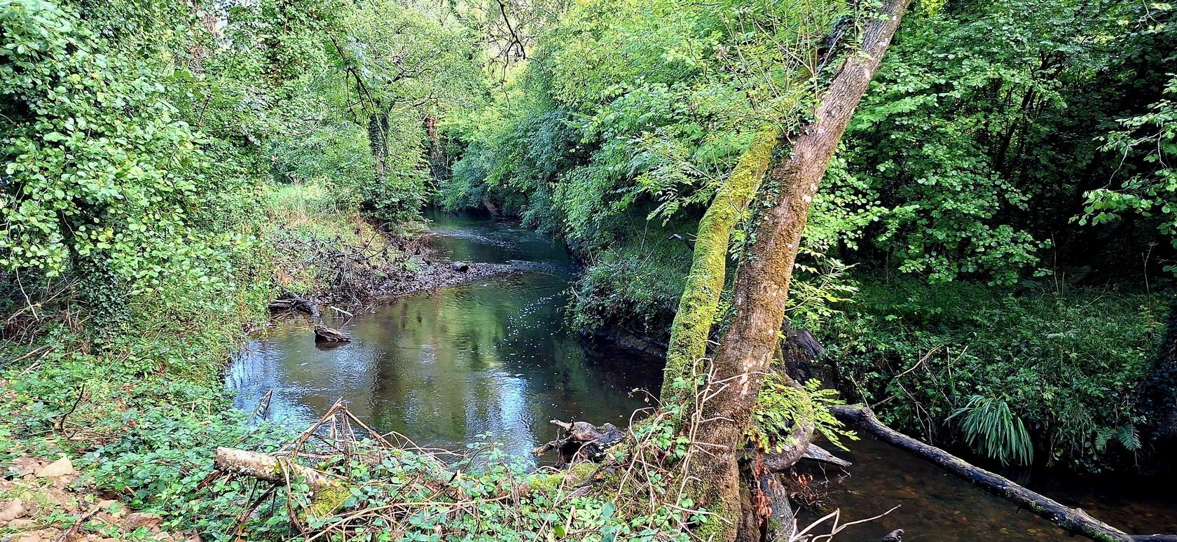La rivière la Mignonne