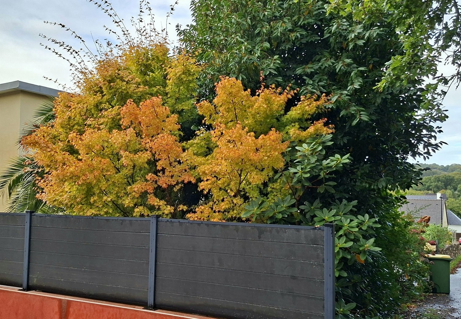 Couleurs d'automne