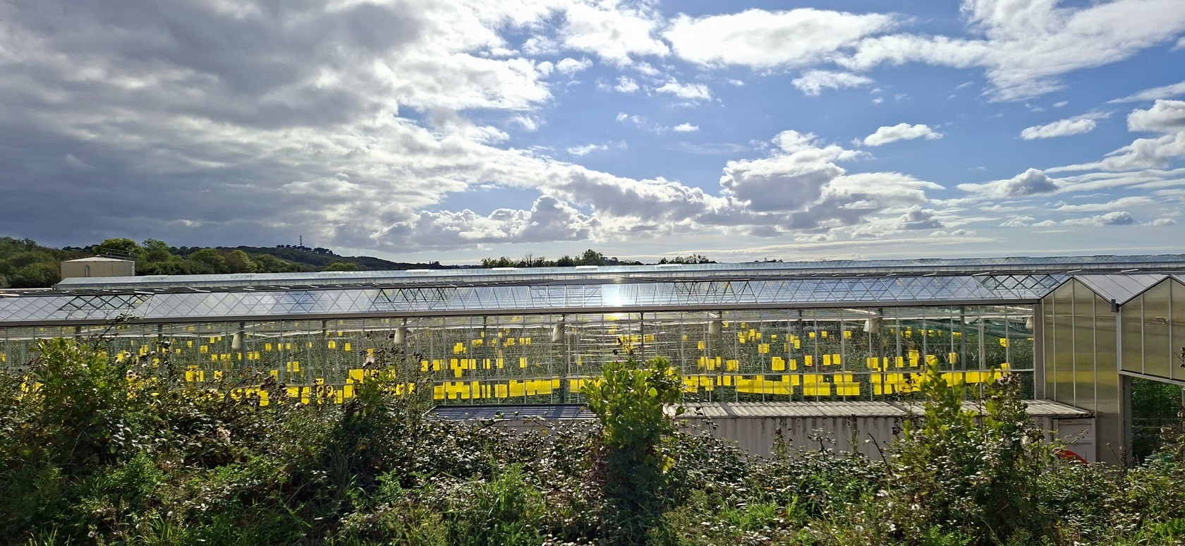 Les serres de Kervern