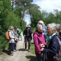 Un chemin de campagne