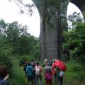 Un viaduc de chemin de fer Brest-Quimper