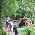 Une montée dans les bois