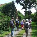 Retour vers la chapelle Saint-Jaoua