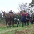 Un cheval et sa carriole