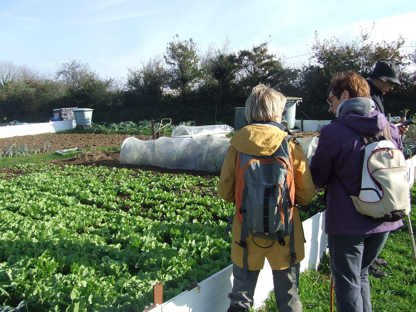 Le jardin potager de Bernard