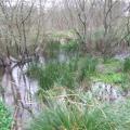 Un ruisseau, Pont Cabioc'h ?