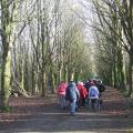 Le bois de Keroumen