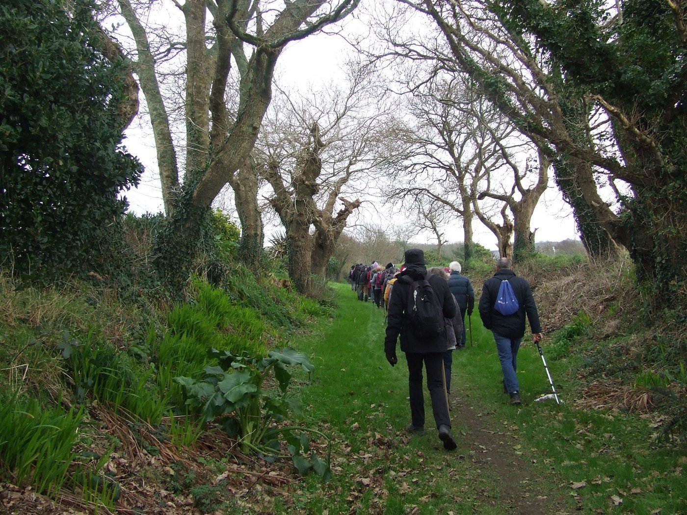 Chemin dans les maisons de la trinité