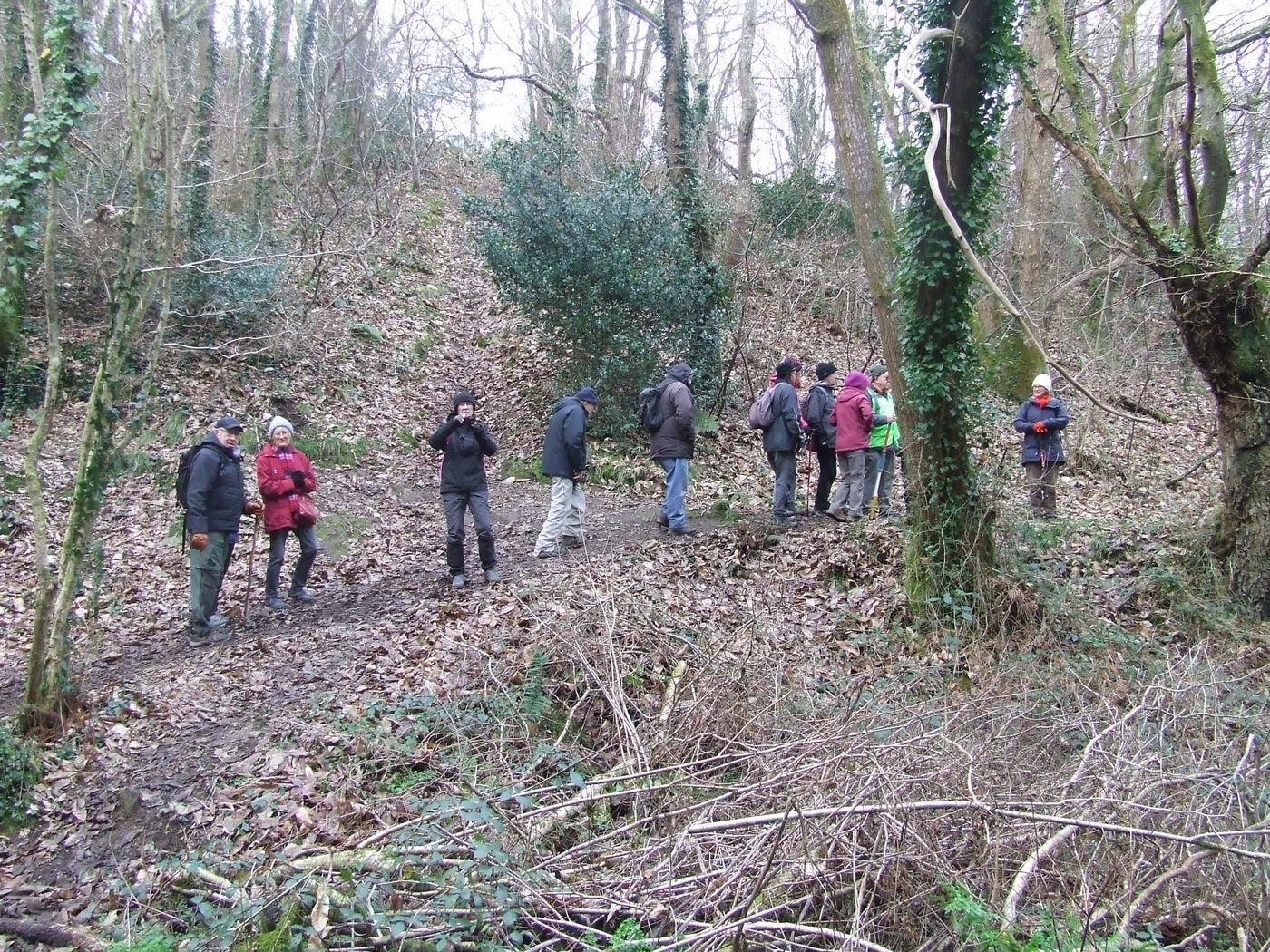 Dans les bois du Névent