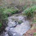 Ruisseau faisant la frontière entre Plouzané et Saint-Pierre