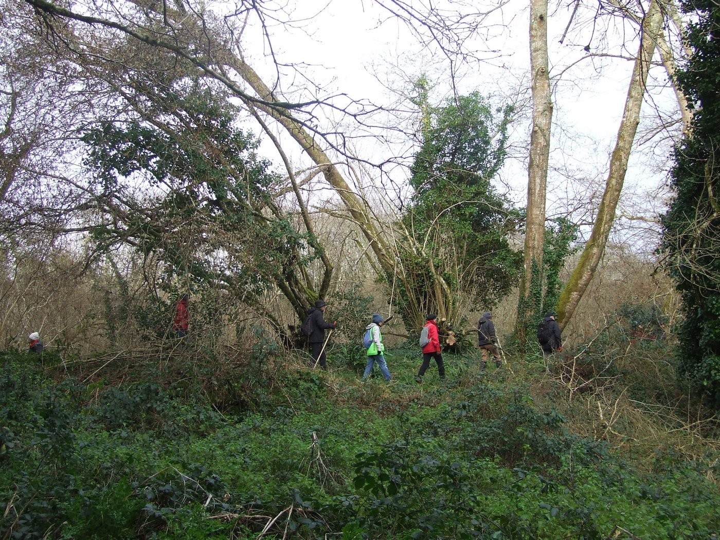 Dans les bois du Névent