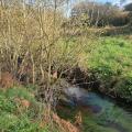 Le long de la Penfeld sur l'ancienne ligne de chemin de fer Lambézéllec Plabennec