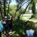 Le moulin du Cann