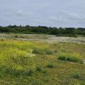 Les dunes de Keremma